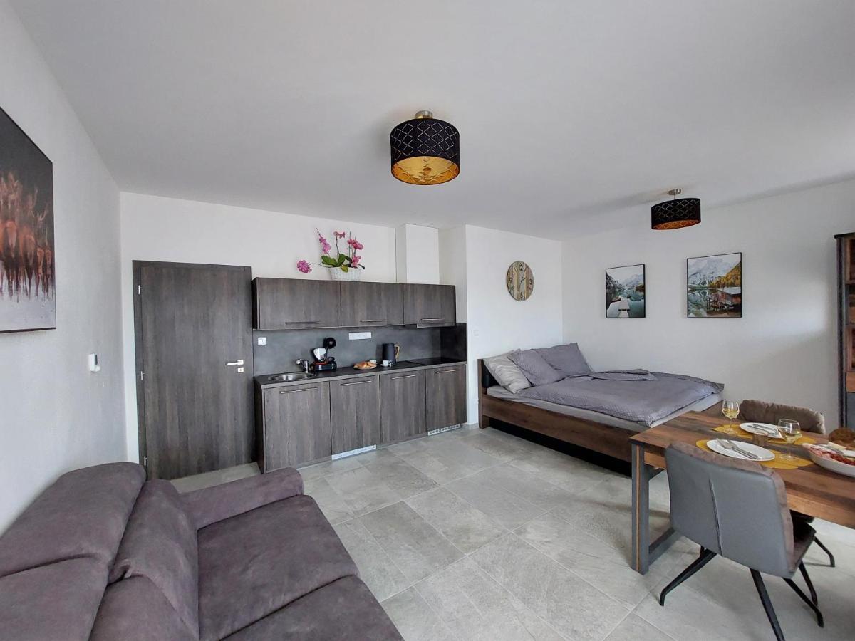 Apartman Rezidence Javor Železná Ruda 外观 照片